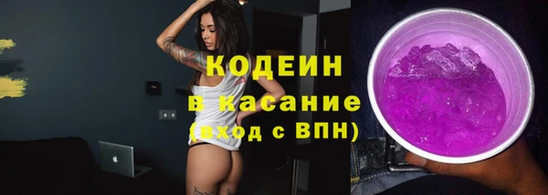 гашик Алзамай