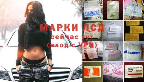 гашик Алзамай