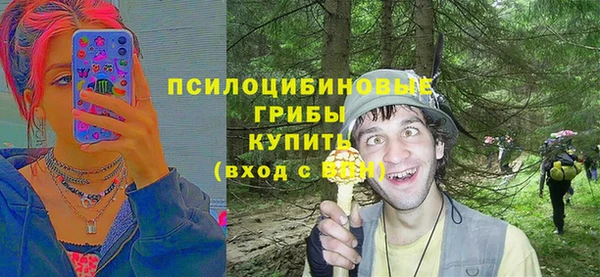 гашик Алзамай