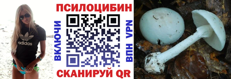 сколько стоит  МЕГА tor  Псилоцибиновые грибы Magic Shrooms  Лысьва 